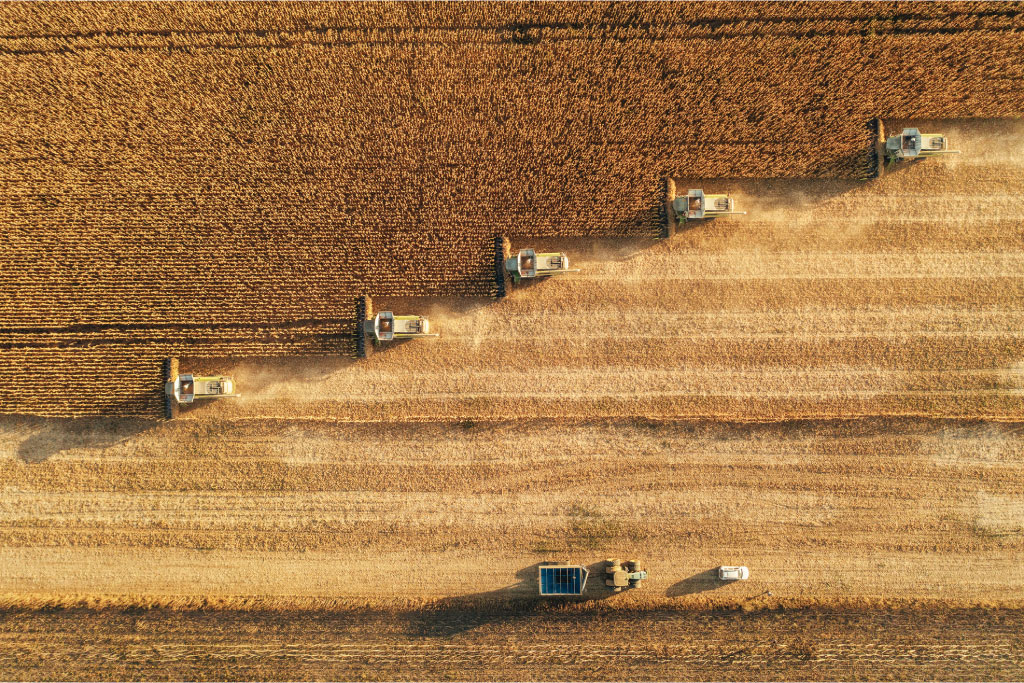 agrifood